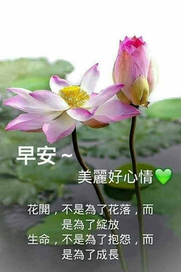 按我可連結至更清楚的圖片